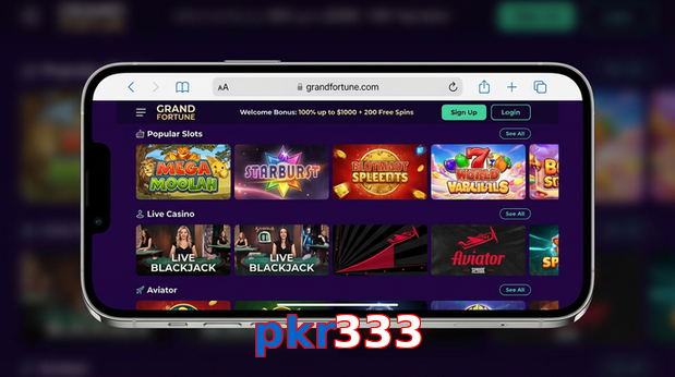 Main screen of Pkr333 ios page for PK players