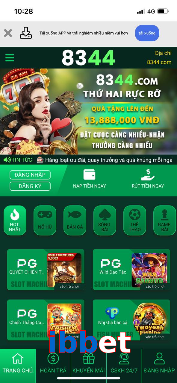 ibbet